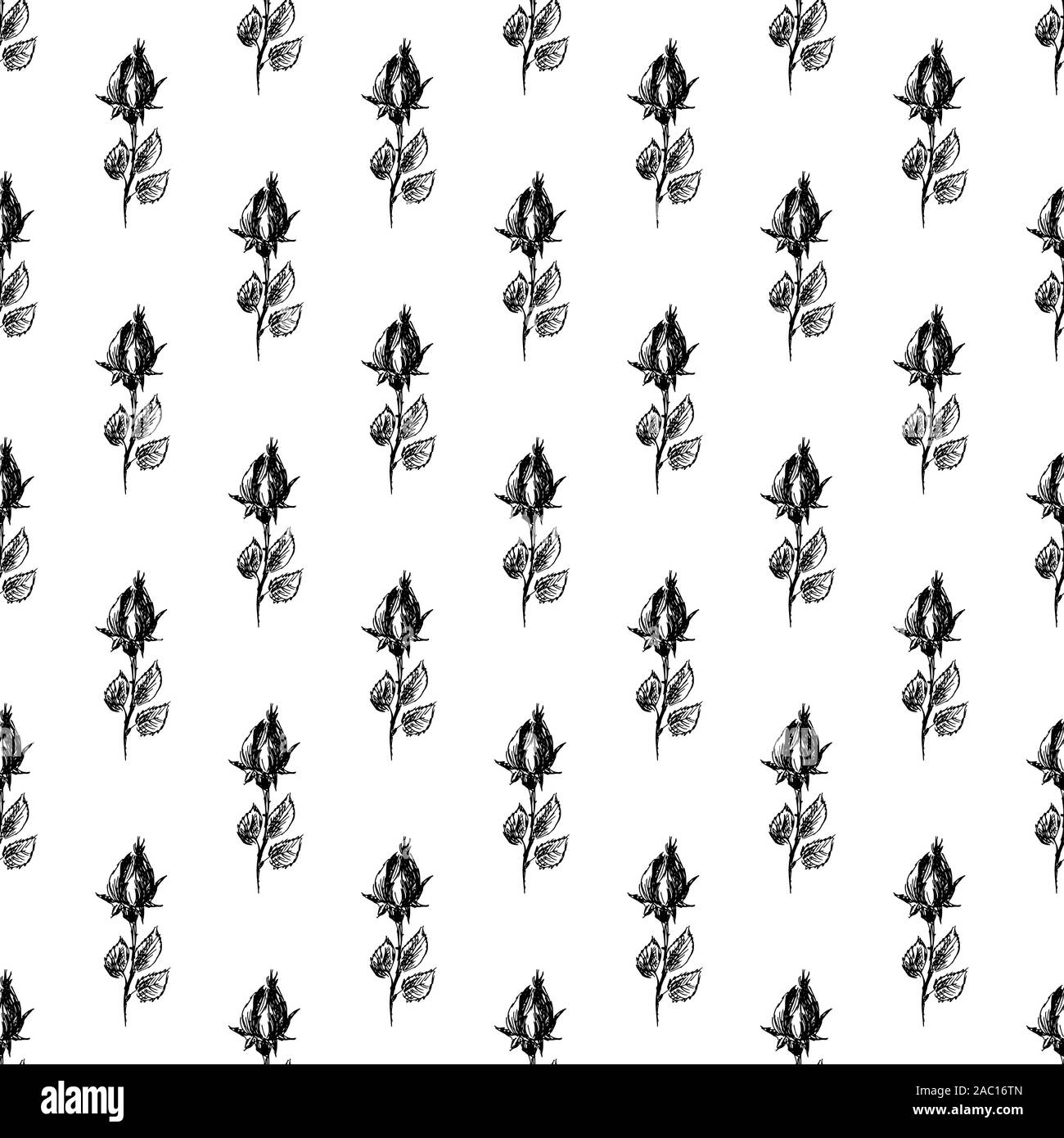 Seamless hand drawn pattern of abstract rose flowers isolated on white ...