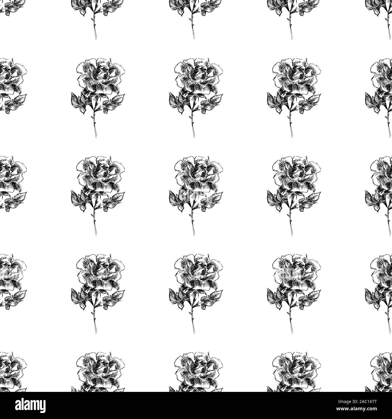 Seamless freehand pattern of abstract rose flowers isolated on white ...