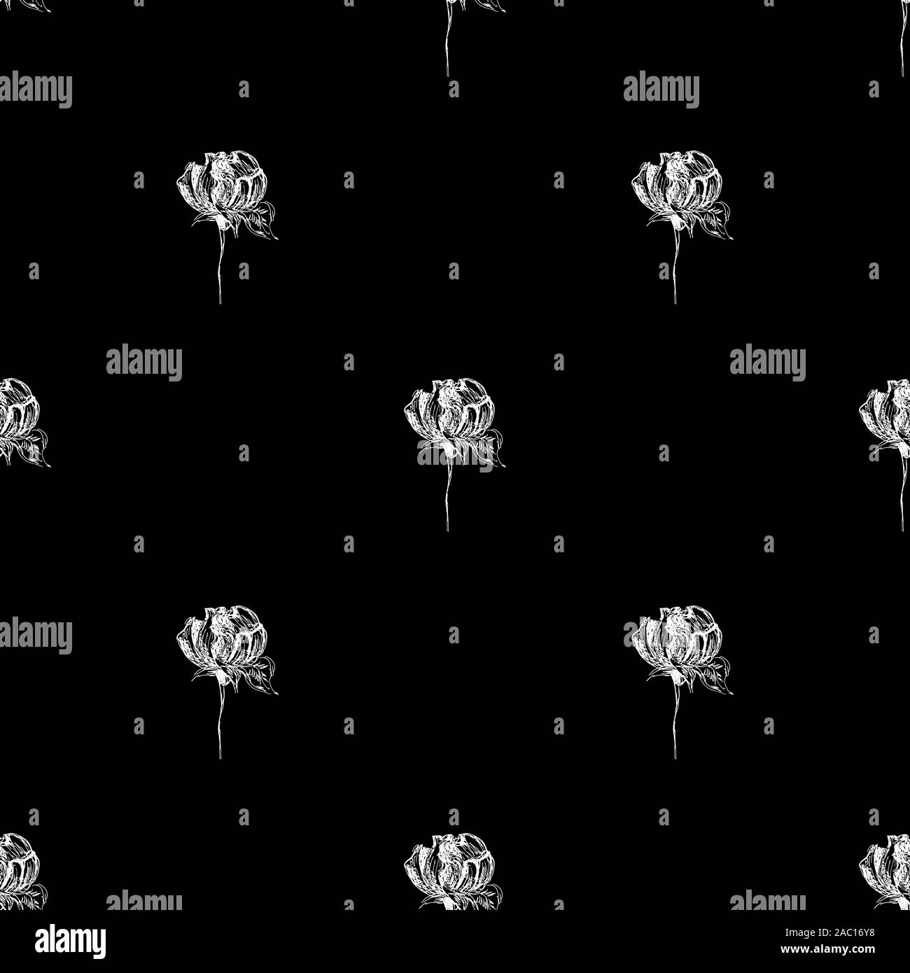 Seamless hand drawn pattern of abstract rose flowers isolated on black ...