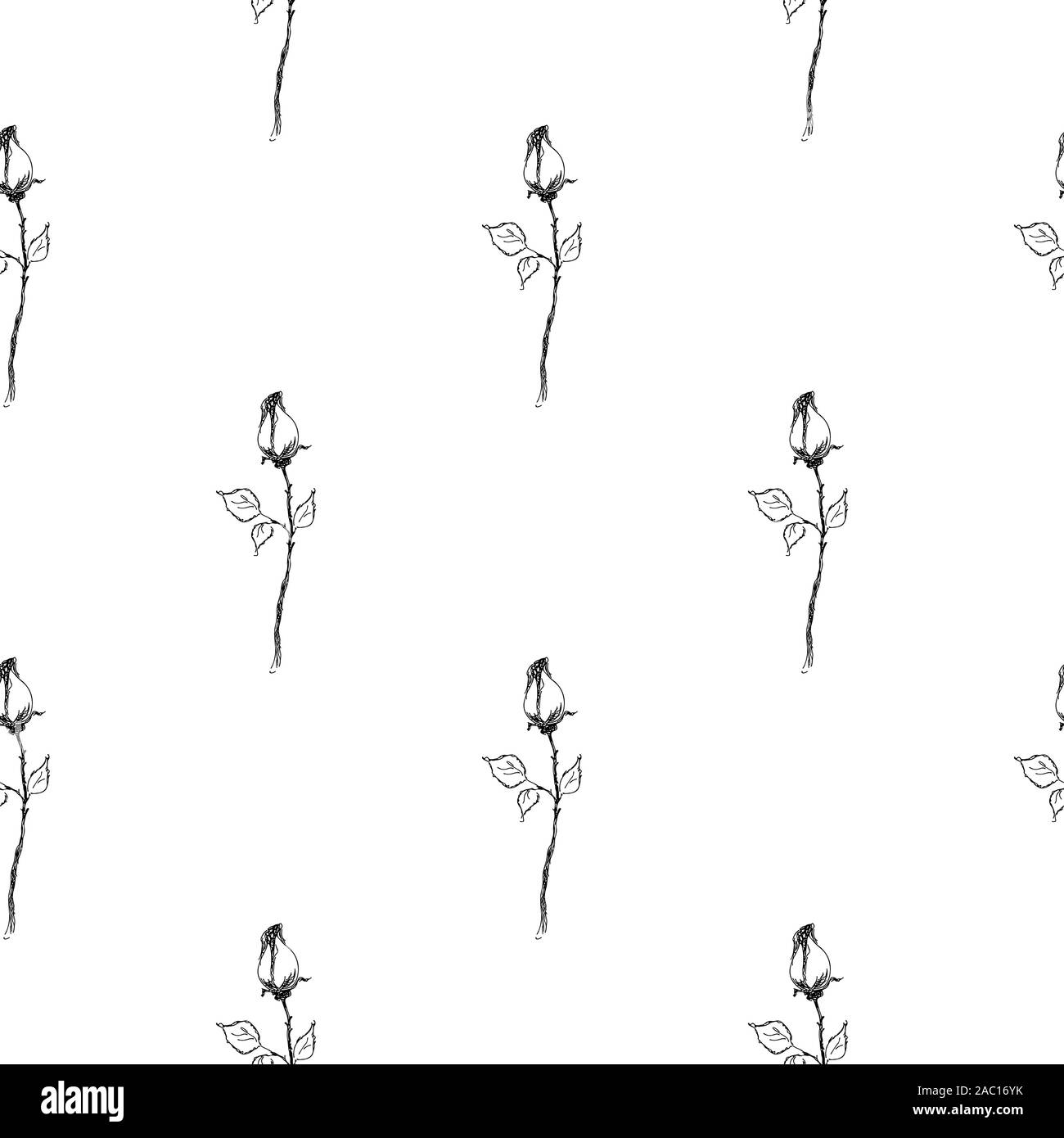 Seamless hand drawn pattern of abstract rose flowers isolated on white ...