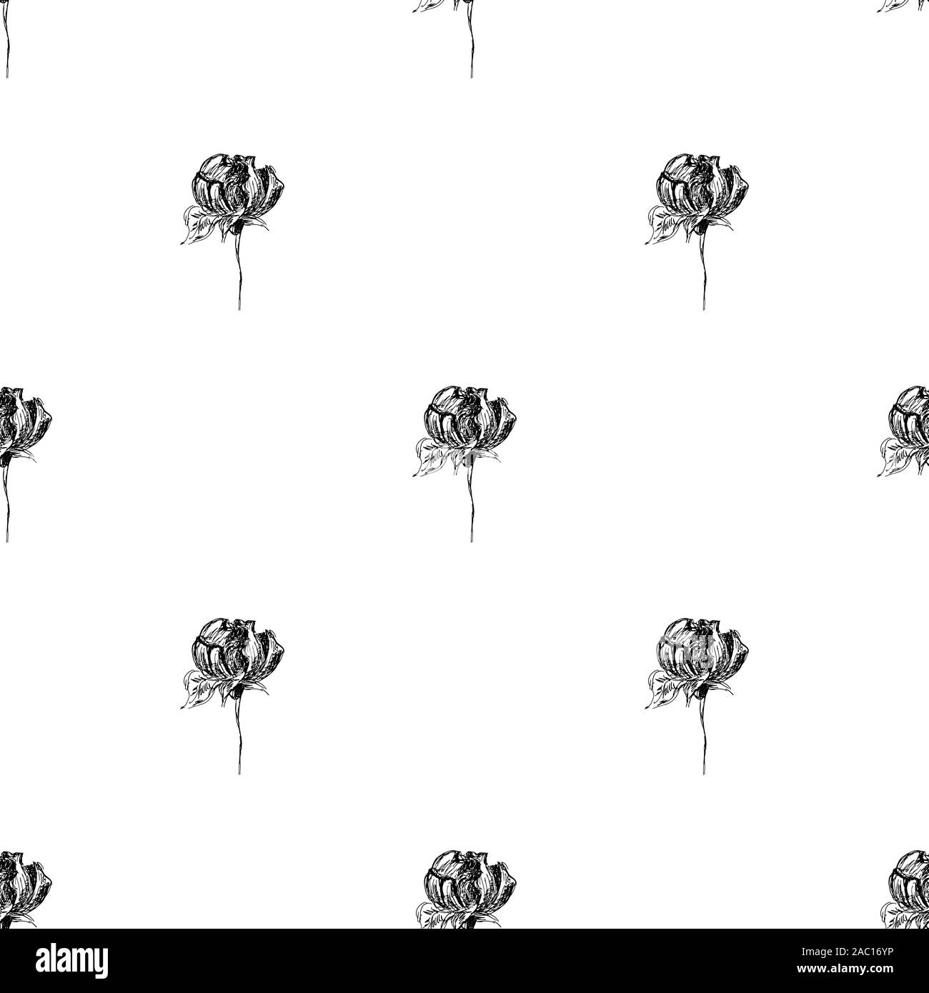 Seamless hand drawn pattern of abstract rose flowers isolated on white ...
