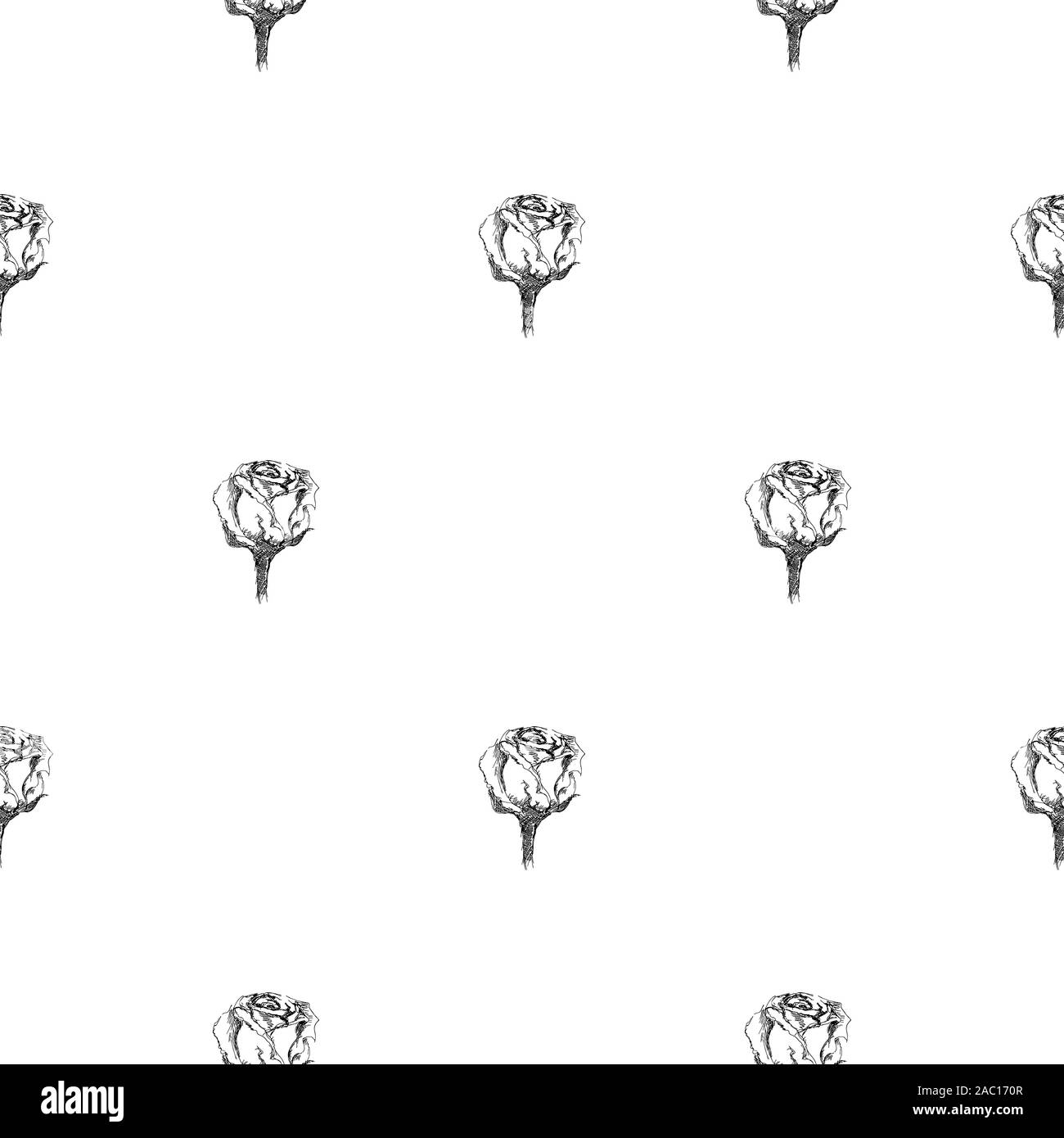 Seamless hand drawn pattern of abstract rose flowers isolated on white ...