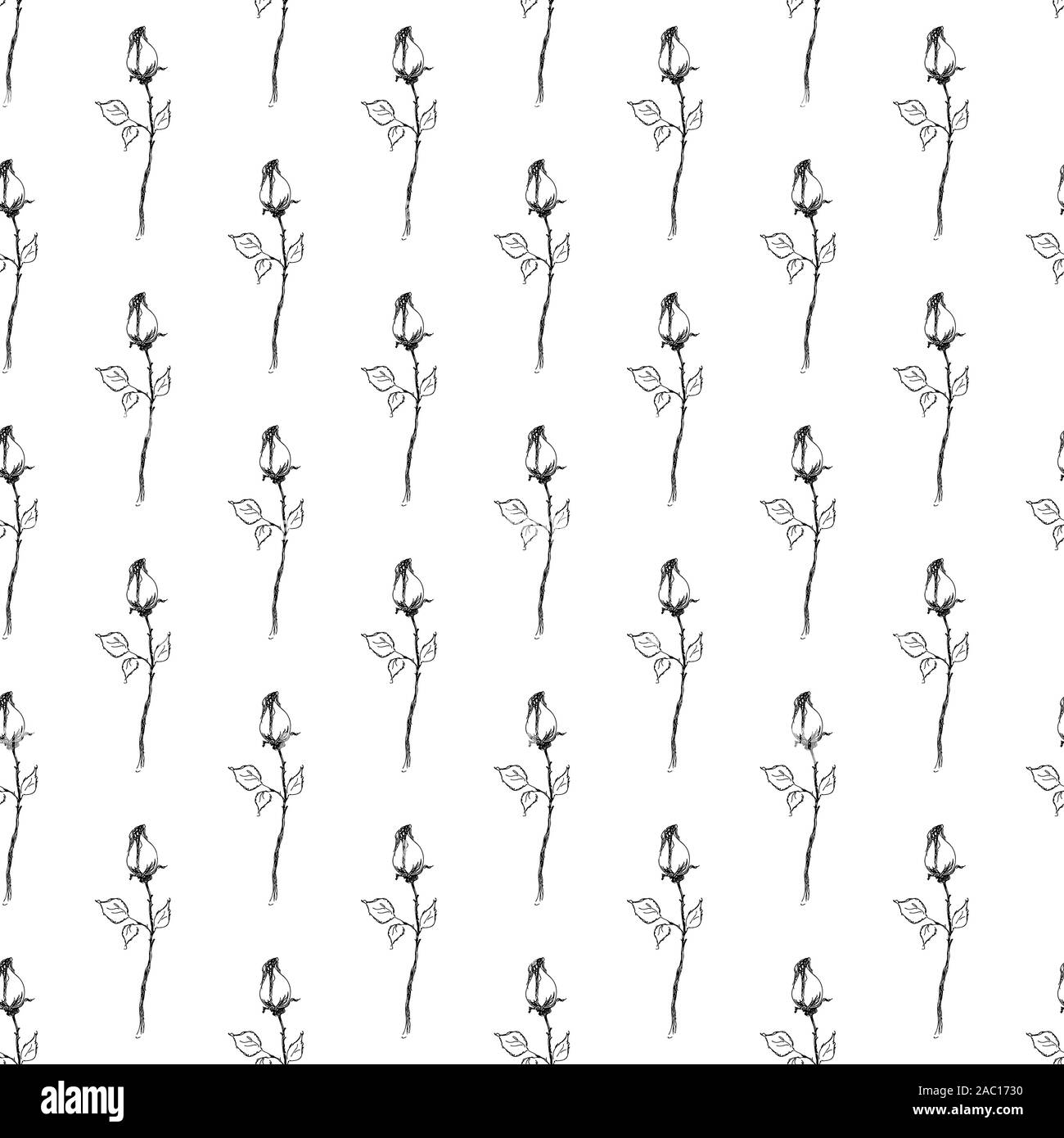 Seamless hand drawn pattern of abstract rose flowers isolated on white ...