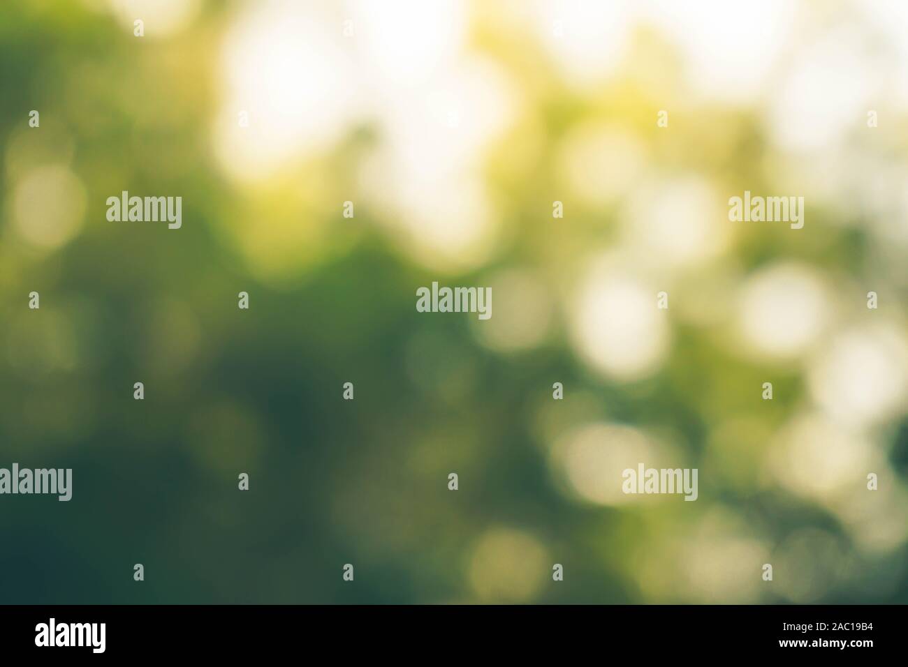 Green bokeh background hi-res stock photography and images - Alamy