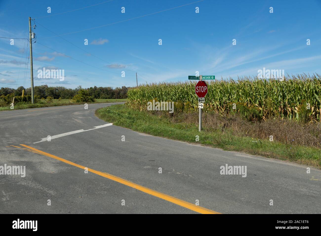 Newtonville hires stock photography and images Alamy