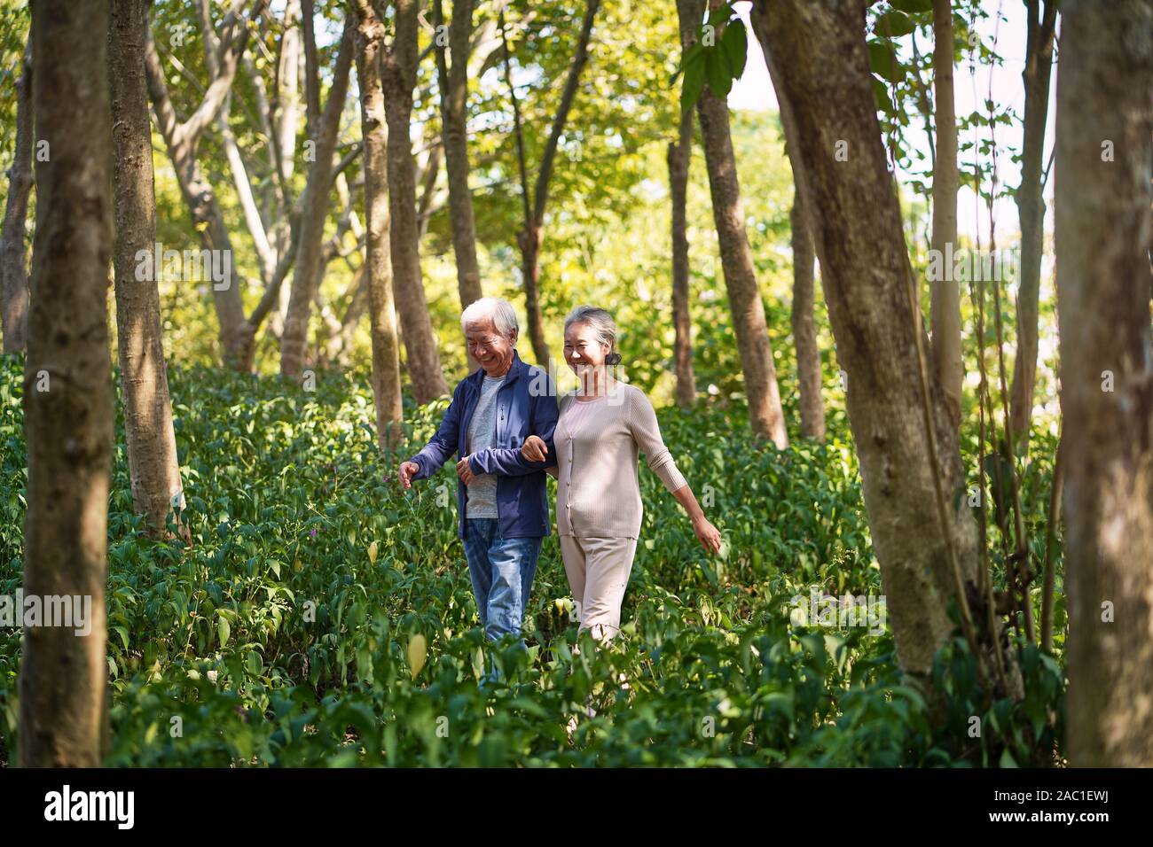 happy senior couple walking talking chatting relaxing in woods Stock Photo