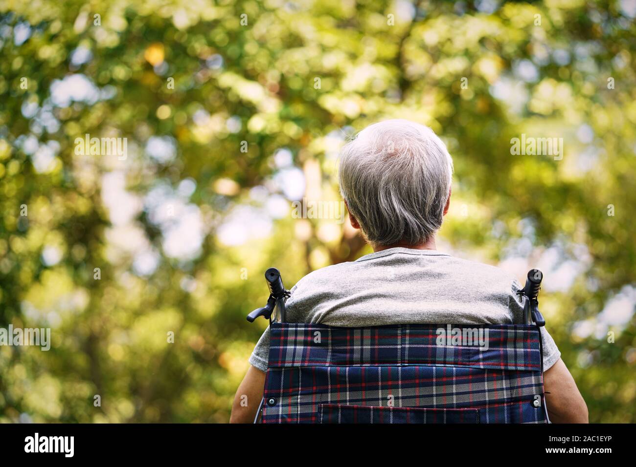 rear view of a senior man sitting in a wheelchair looking up Stock Photo