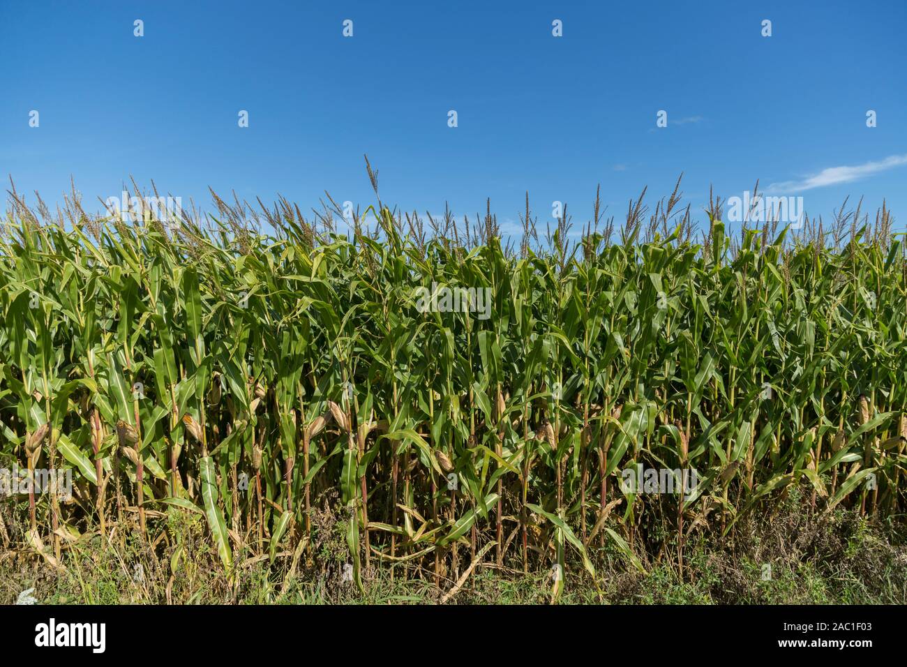 Newcastle road sign hires stock photography and images Alamy