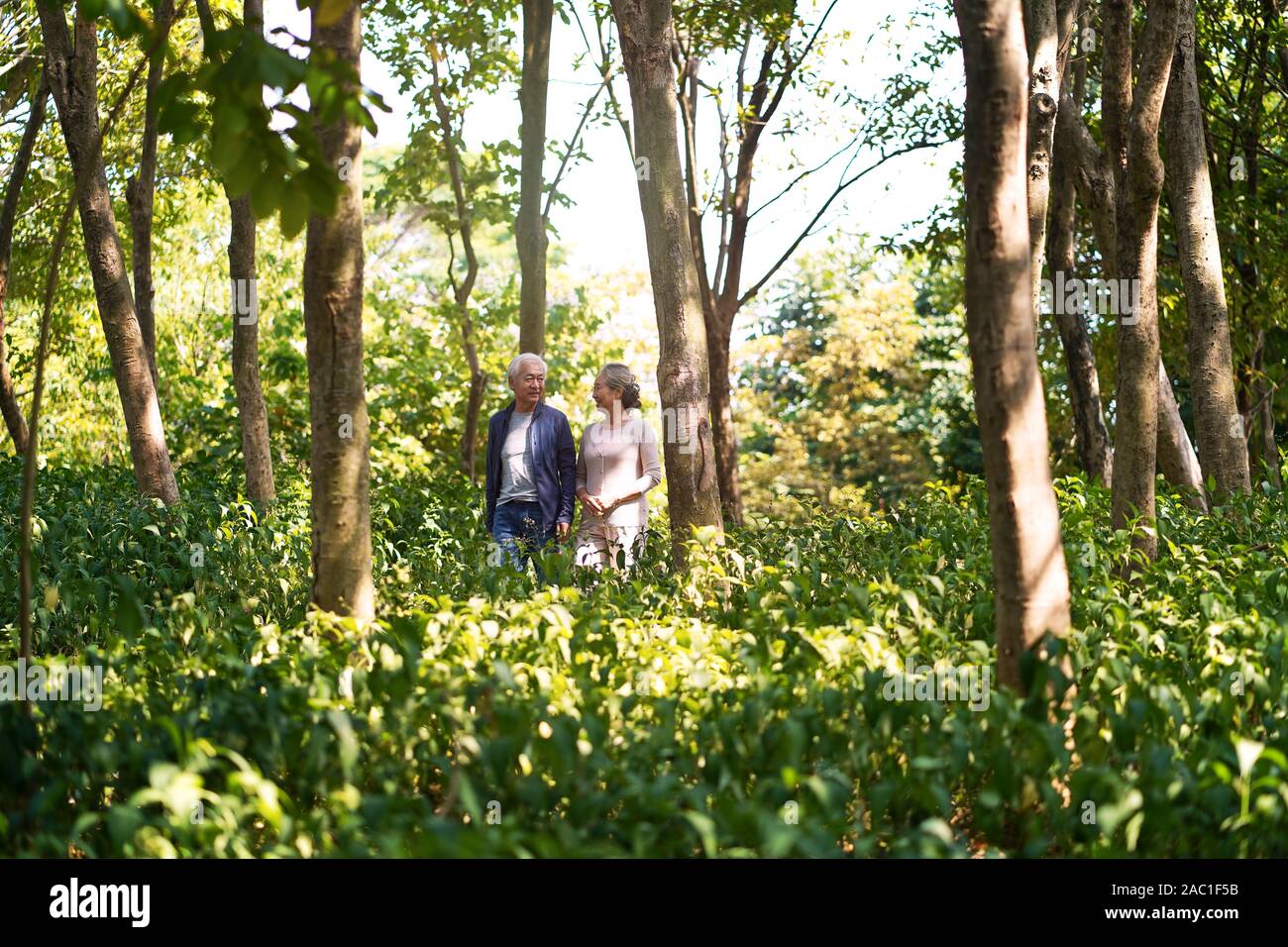 happy senior couple walking talking chatting relaxing in woods Stock Photo