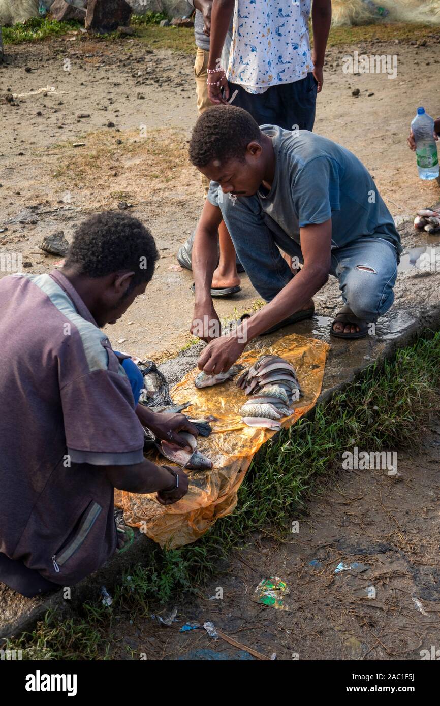 Ethiopia, Rift Valley, Hawassa, City Fish Market, two men filleting freshly caught tilapia fish to eat raw on ground Stock Photo