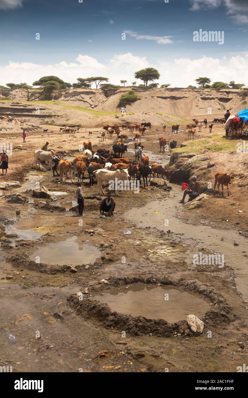 Ethiopia, Rift Valley, Oromia, Abijatta-Shalla National Park, volcanic hot springs, farmers with cattle drinking from stream Stock Photo