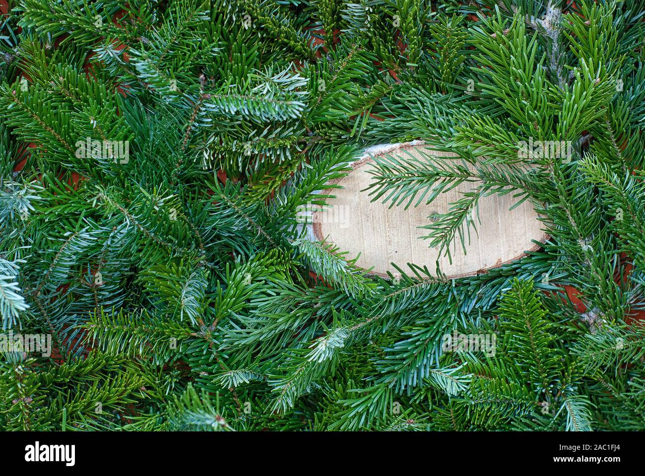 Wood board template with empty space for advertising design. Round rural wooden plate on Christmas tree background. Top view rustic style. Copy space for text. Stock Photo
