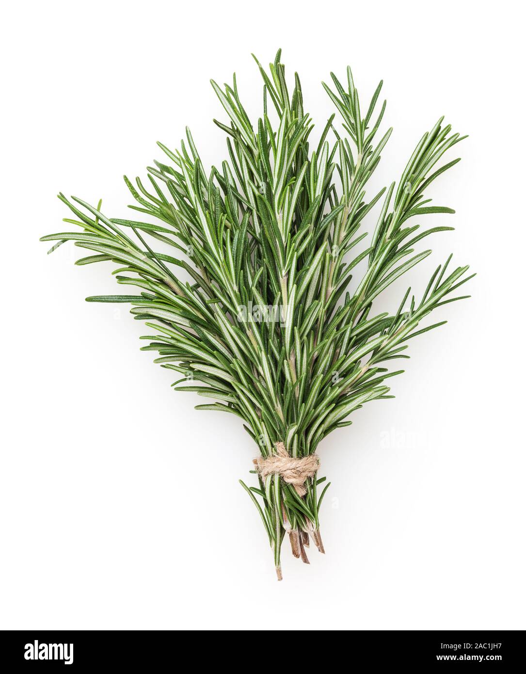 Fresh rosemary bunch isolated on white background Stock Photo - Alamy