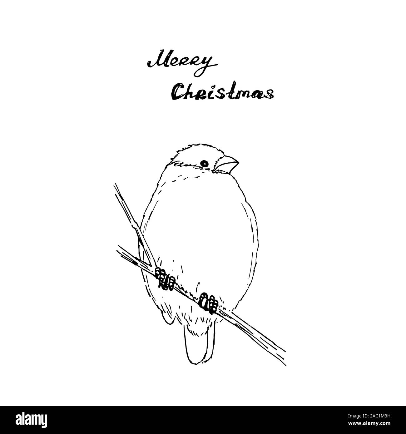 Bullfinch with Merry Christmas letters. Black outline on white background. Picture can be used in greeting cards, posters, flyers, banners, logo, further design etc. Vector illustration. EPS10 Stock Vector