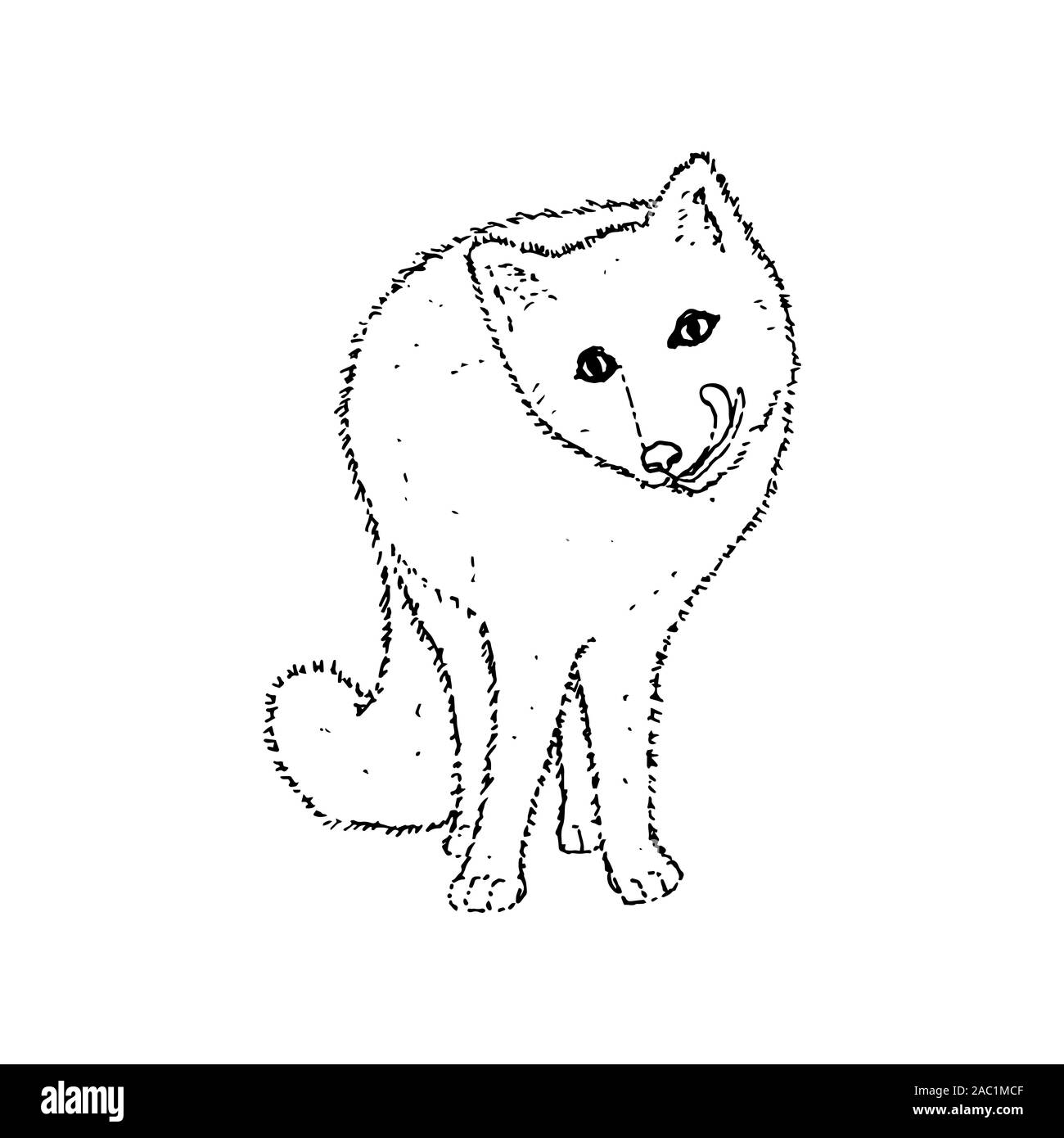 Arctic sketch hi-res stock photography and images - Alamy