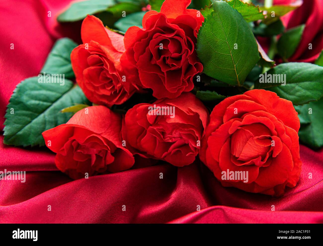 Red Roses bouquet over silk background. Valentines concept Stock Photo ...