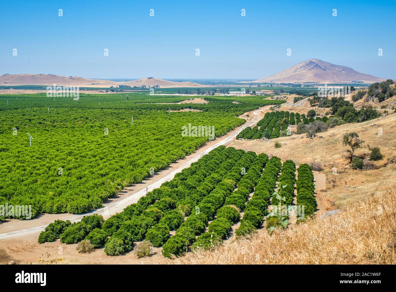 Orange groves in east side of the Central Valley in Fresno County,California,USA Stock Photo Alamy