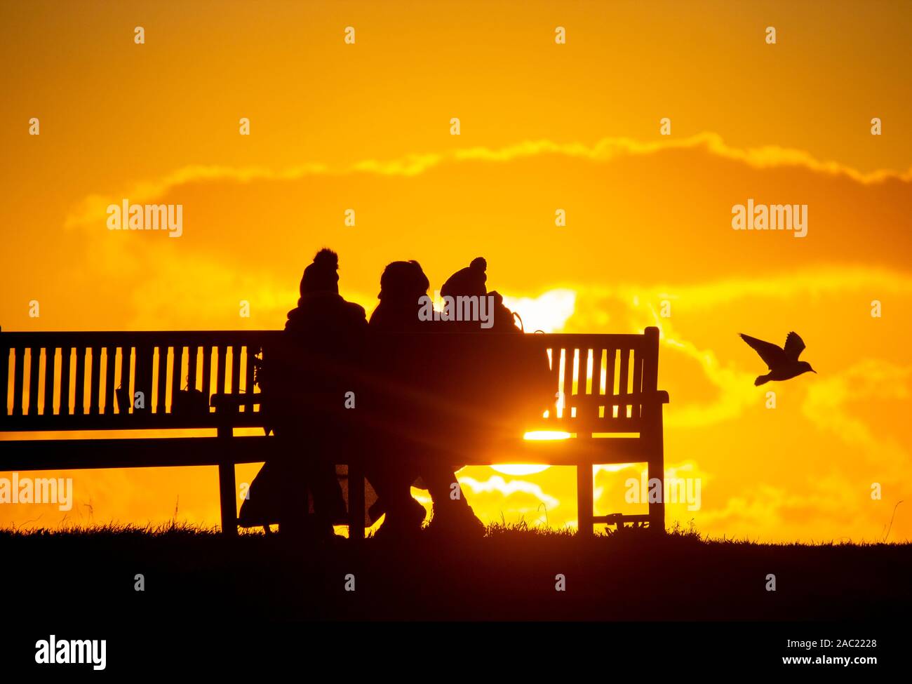 Tynemouth, England, UK. 30th November, 2019. Weather Watching the