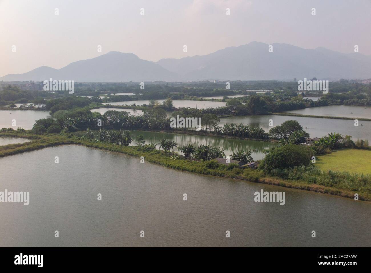 A scene of a rural area of the Greater Bay Area - Guangdong-Hong Kong ...