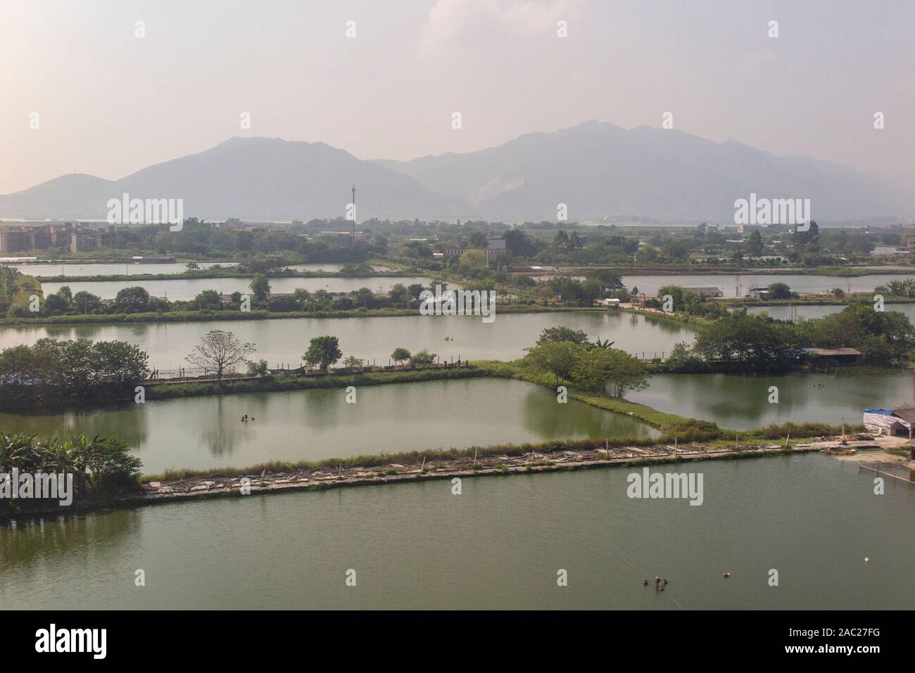 A scene of a rural area of the Greater Bay Area - Guangdong-Hong Kong ...