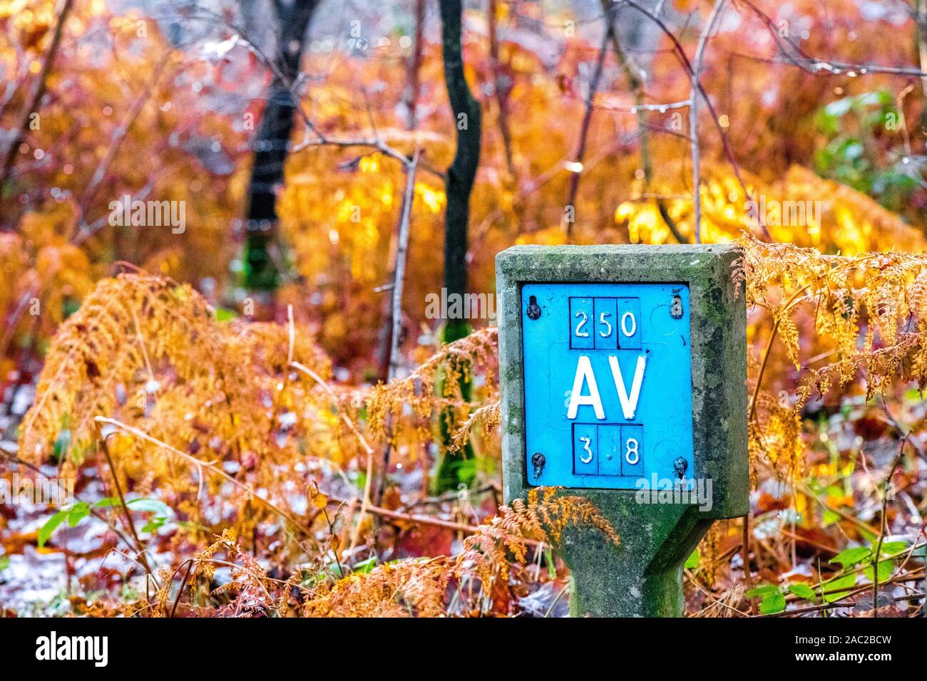 Concrete water main marker post showing pipe diameter size and distance