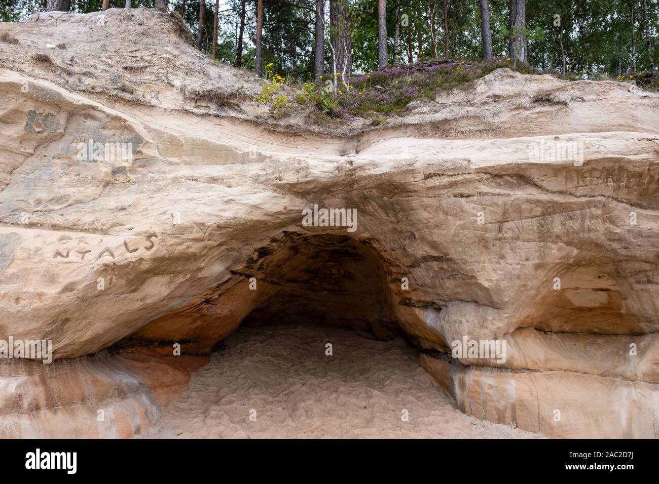 Ground level cross section hi-res stock photography and images - Alamy