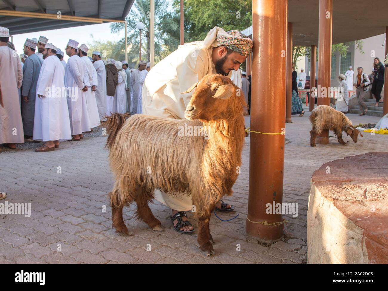 Nizwa, Oman, December 2015: omani men at the old Nizwa  goat market Stock Photo