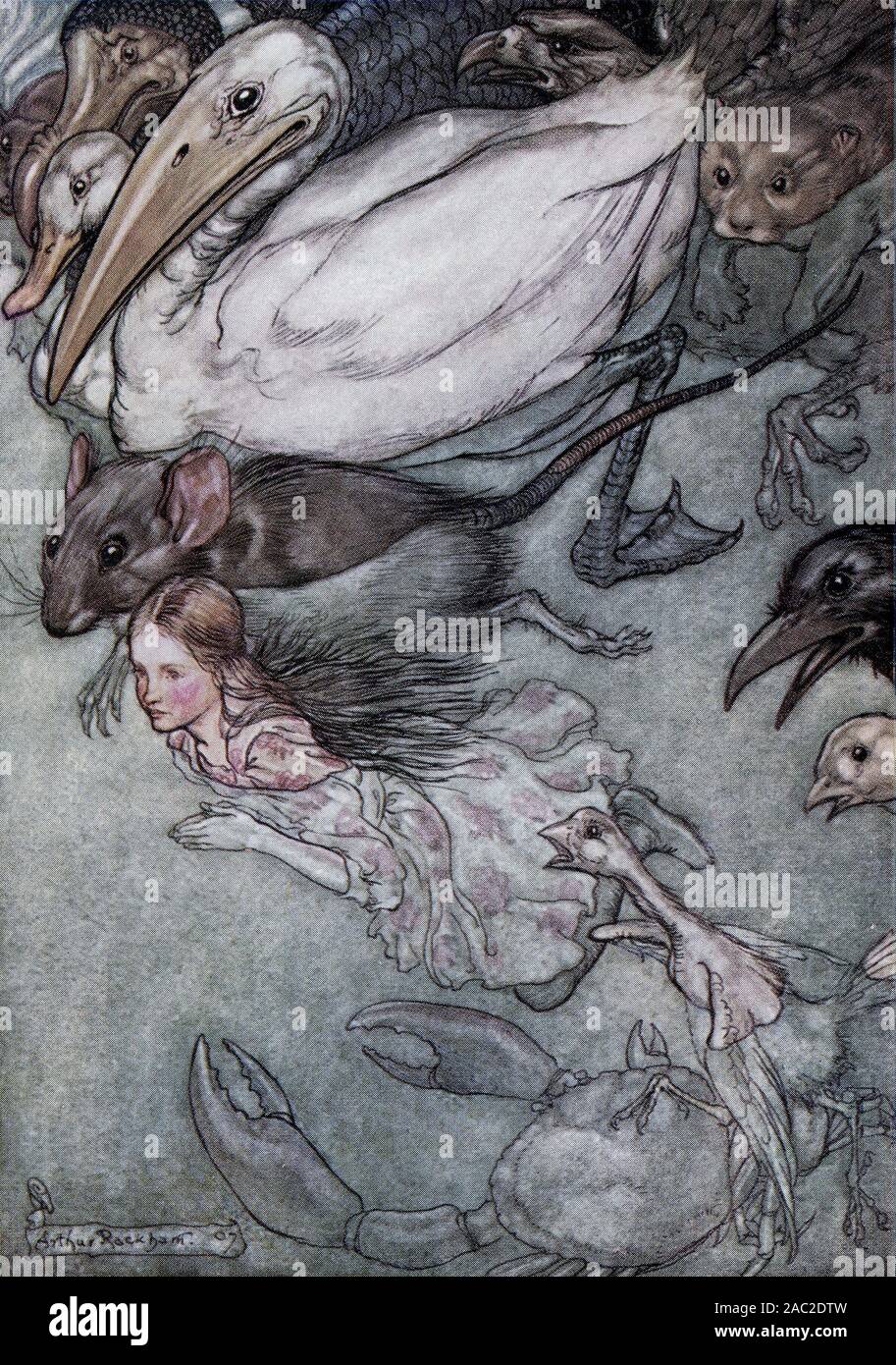Arthur Rackham's illustration for the 1907 edition of Lewis Carroll's ALICE IN WONDERLAND - 'The Pool of Tears' Stock Photo
