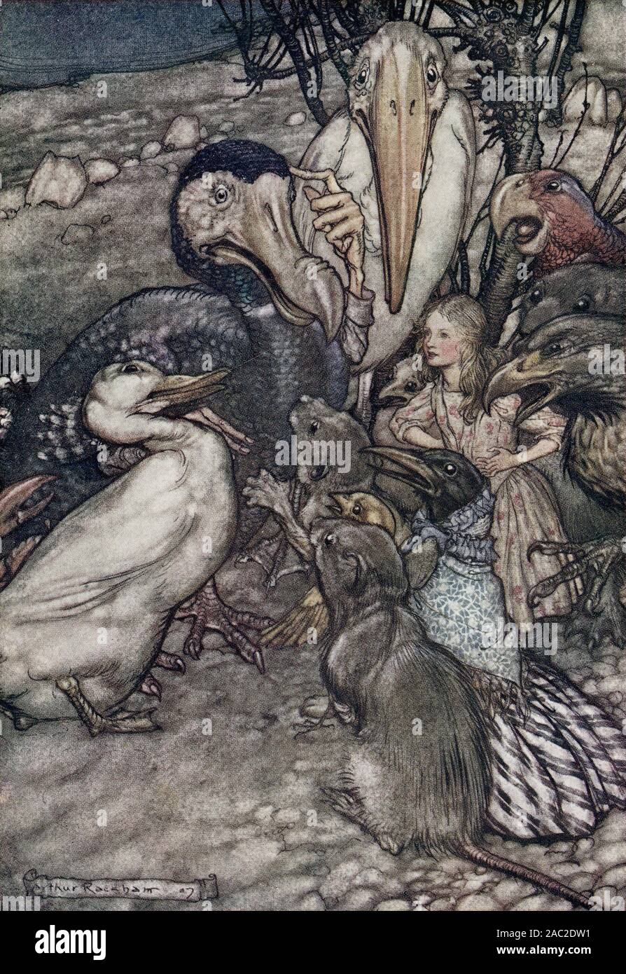 Arthur Rackham's illustration for the 1907 edition of Lewis Carroll's ALICE IN WONDERLAND - 'They all crowded round it panting and asking, 'But who has won?'' Stock Photo