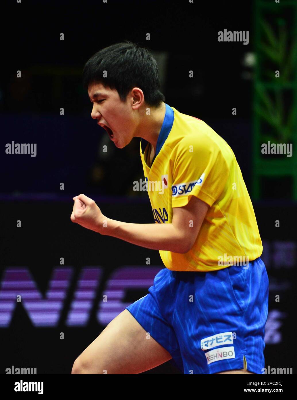 Tomokazu Harimoto of Japan reacts after defeating Koki Niwa of Japan in their Men's Singles Quarterfinals match during the 2019 ITTF Men's World Cup i Stock Photo
