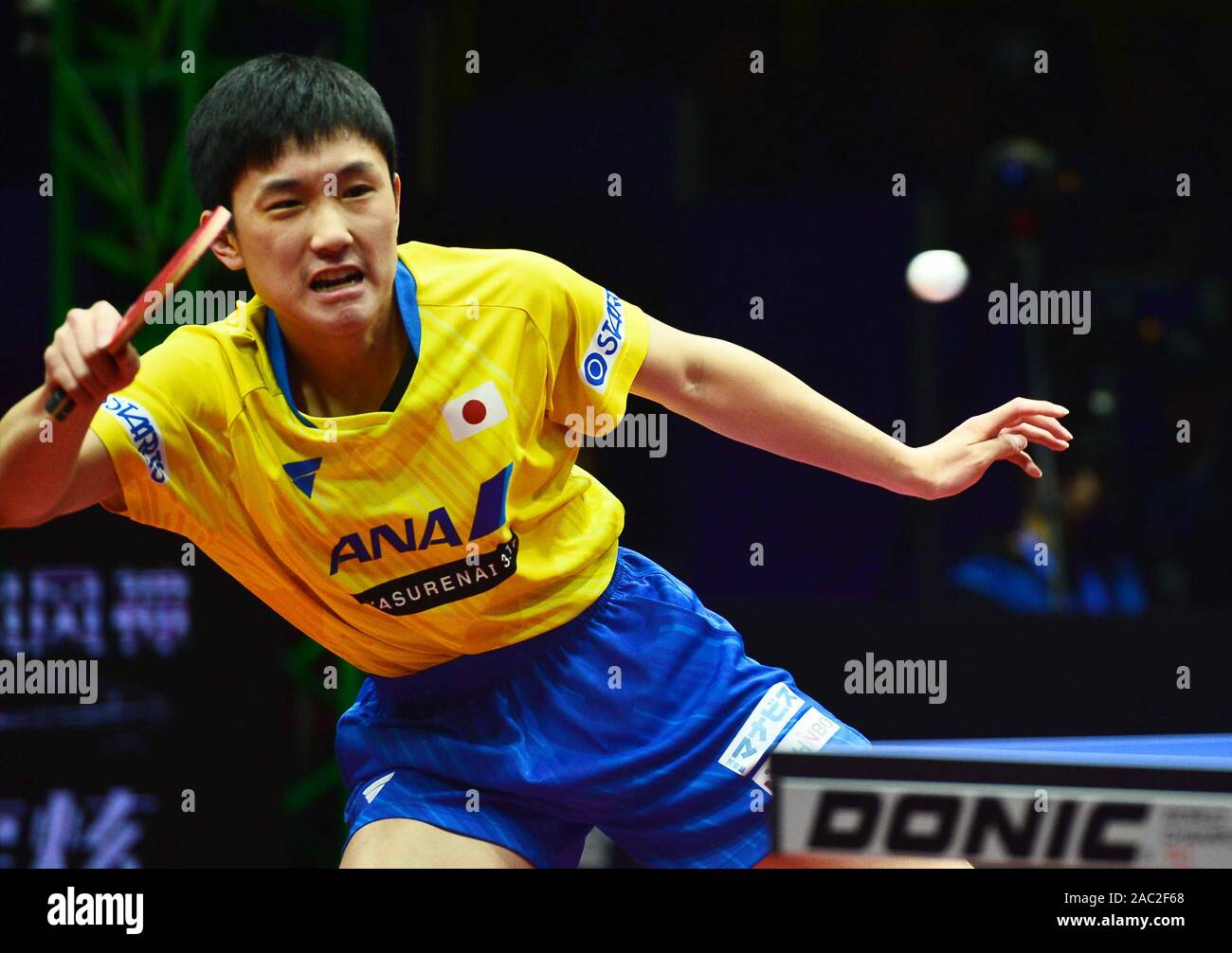 Tomokazu Harimoto of Japan in action against Koki Niwa of Japan in their Men's Singles Quarterfinals match during the 2019 ITTF Men's World Cup in Che Stock Photo