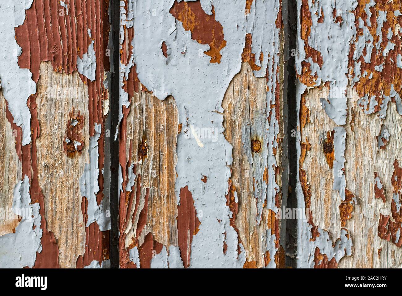 Old paited wood wall texture. Stock Photo