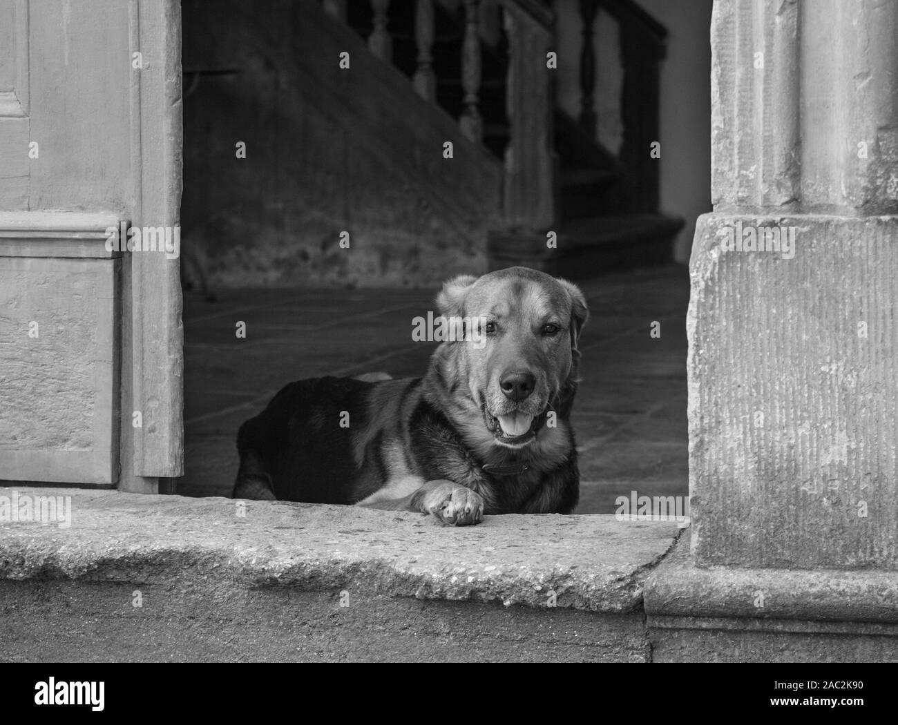 Through doorway Black and White Stock Photos & Images - Alamy