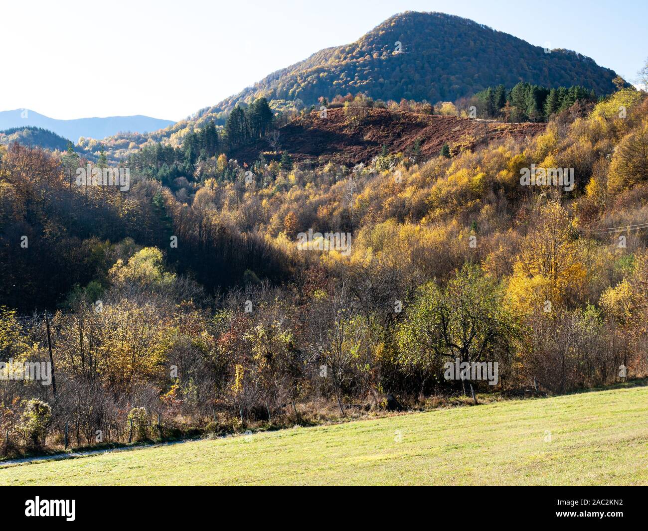 Autumn in the mountains. Nature has painted in pastel colors the leaves of trees, shrubs and grasses. Stock Photo