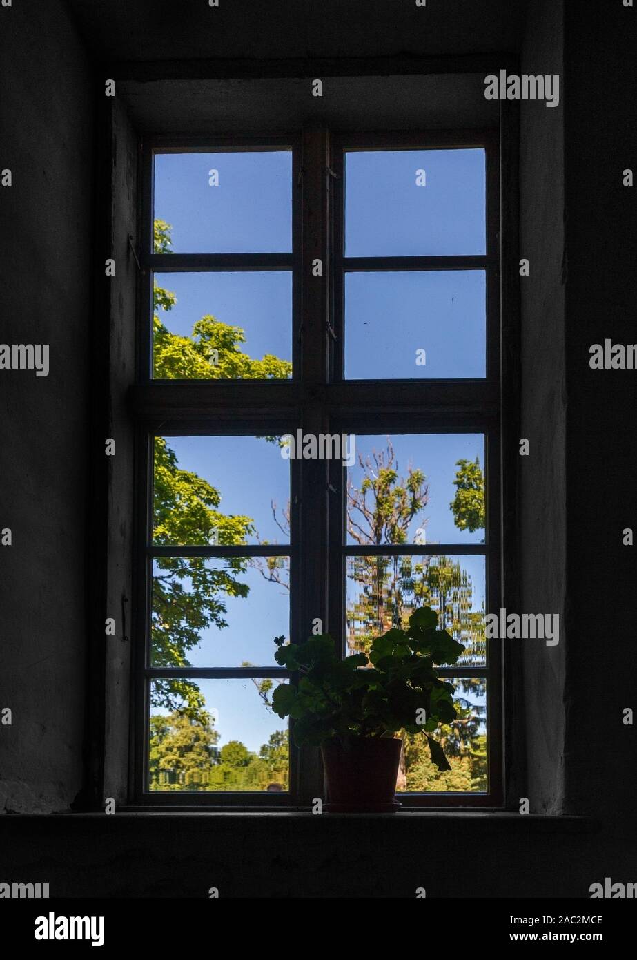 Old big window in manor house with flower pot Stock Photo - Alamy