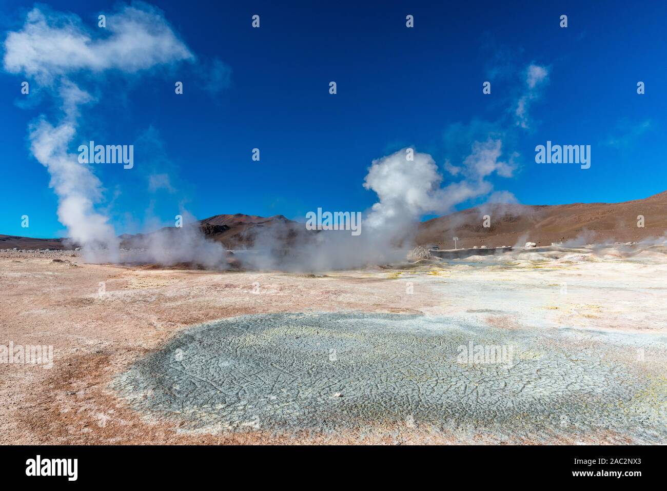 Geysir field  "Sol de Mañana",  Nationa Park Reserva National de Fauna Andina Eduardo Avaroa, Southwest Bolivia, department Potosi, Latin America Stock Photo