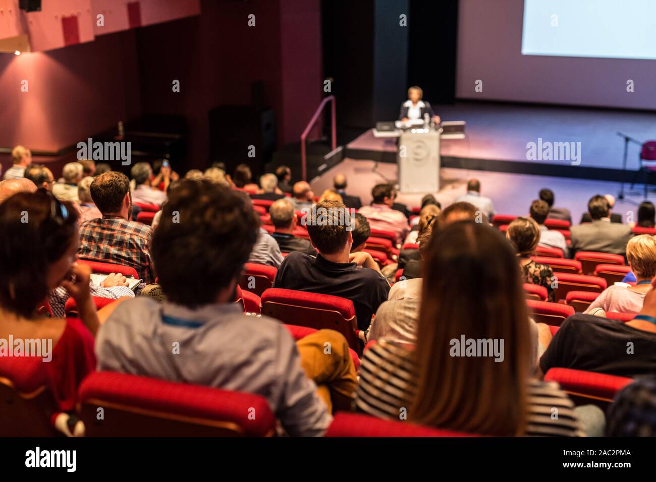 Business speaker giving a talk at business conference event. Stock Photo