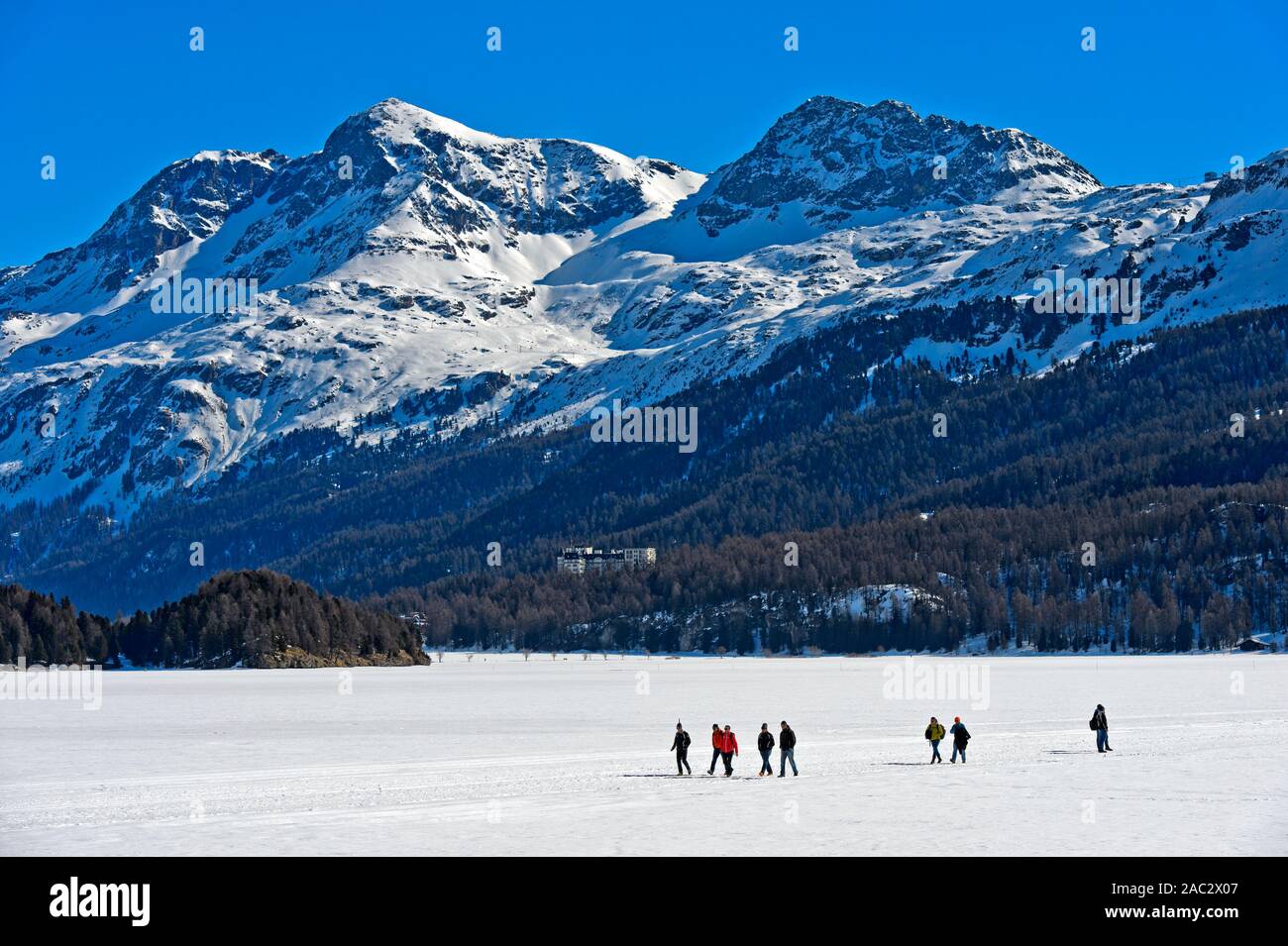 Pedestrians crossing the frozen Lake Sils, Silsersee, Corvatsch Massif behind, Sils im Engadin, Grisons, Switzerland Stock Photo