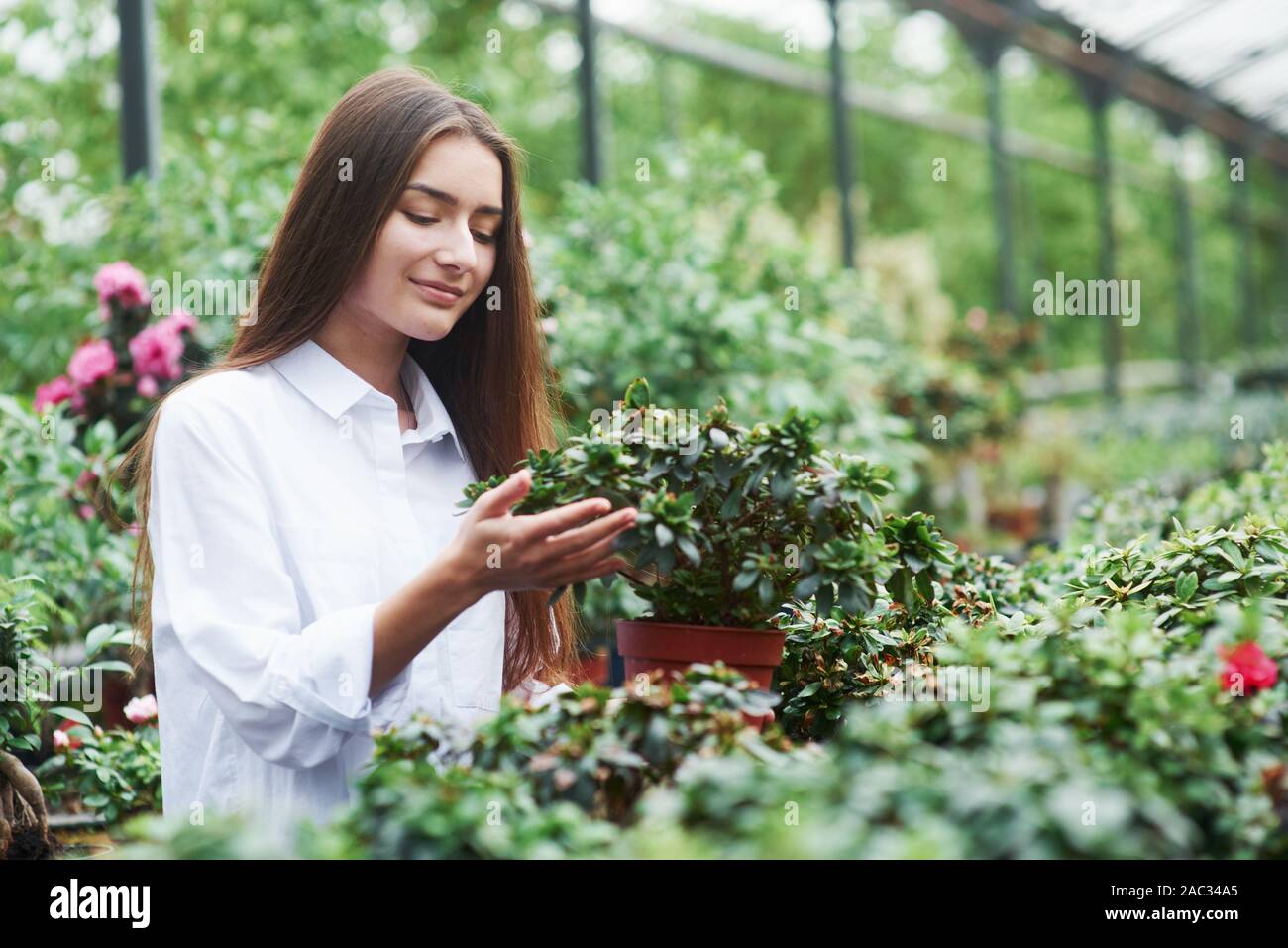 Cute young girl standing in the greenhouse and touching the plant in a ...