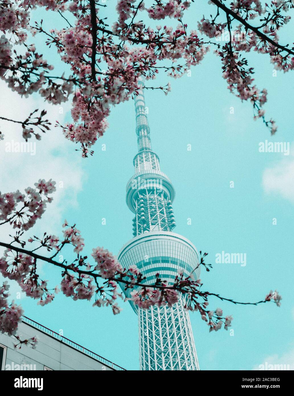 Travell japan hi-res stock photography and images - Alamy