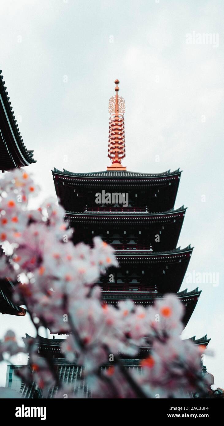 Travell japan hi-res stock photography and images - Alamy