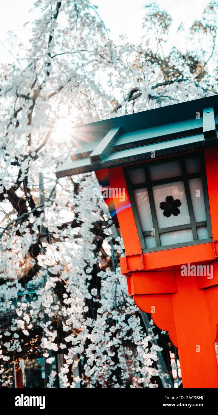 Travell japan hi-res stock photography and images - Alamy