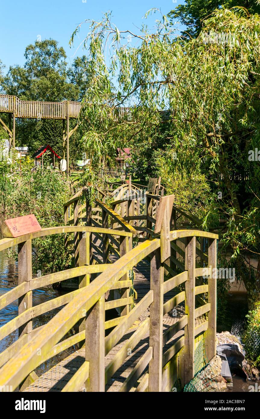 A series of wooden arched bridges create a snake footbridge across a pool of sunlit water towards the elegant looking wooden structure of the skywalk Stock Photo