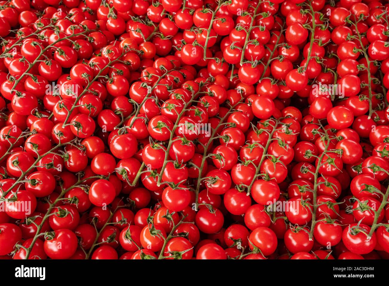 Texture of red tomatoes hi-res stock photography and images - Alamy