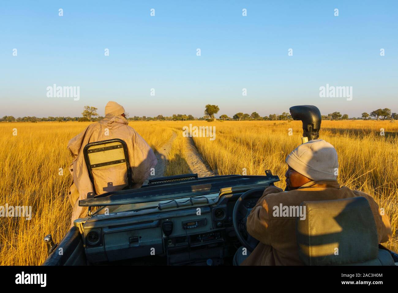 Open topped vehicle safari with driver and guide, Bushman Plains, Okavanago Delta, Botswana Stock Photo