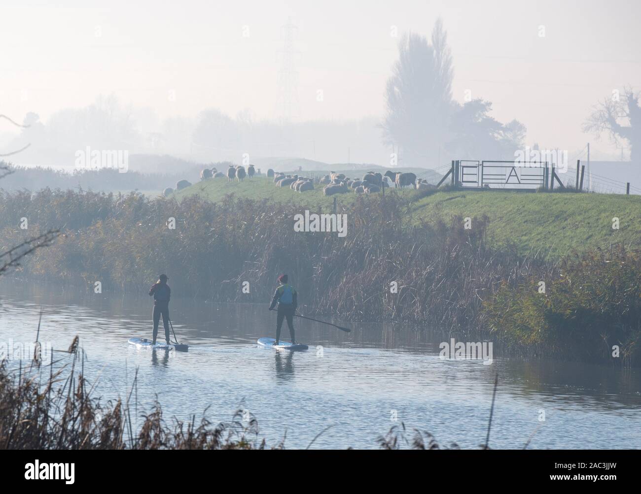 Paddle boards on the Great River Ouse Stock Photo