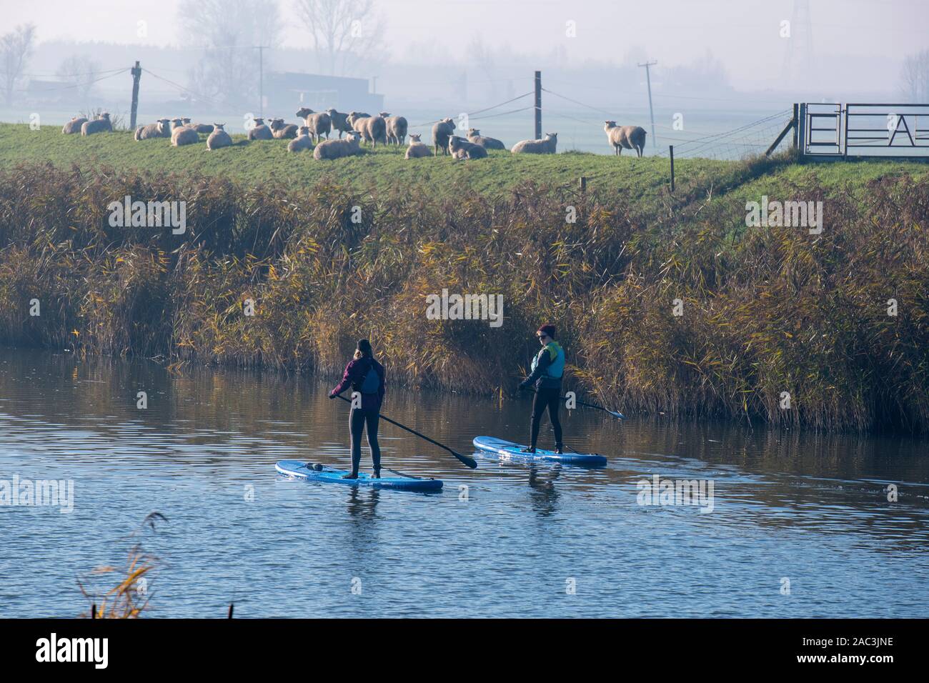 Paddle boards on the Great River Ouse Stock Photo