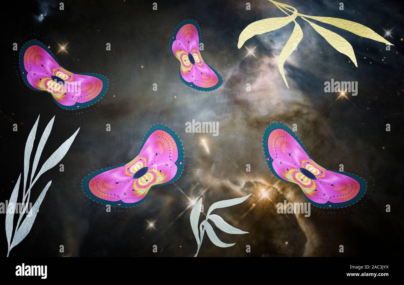 Abstract image of moths on a dark background. Stock Photo