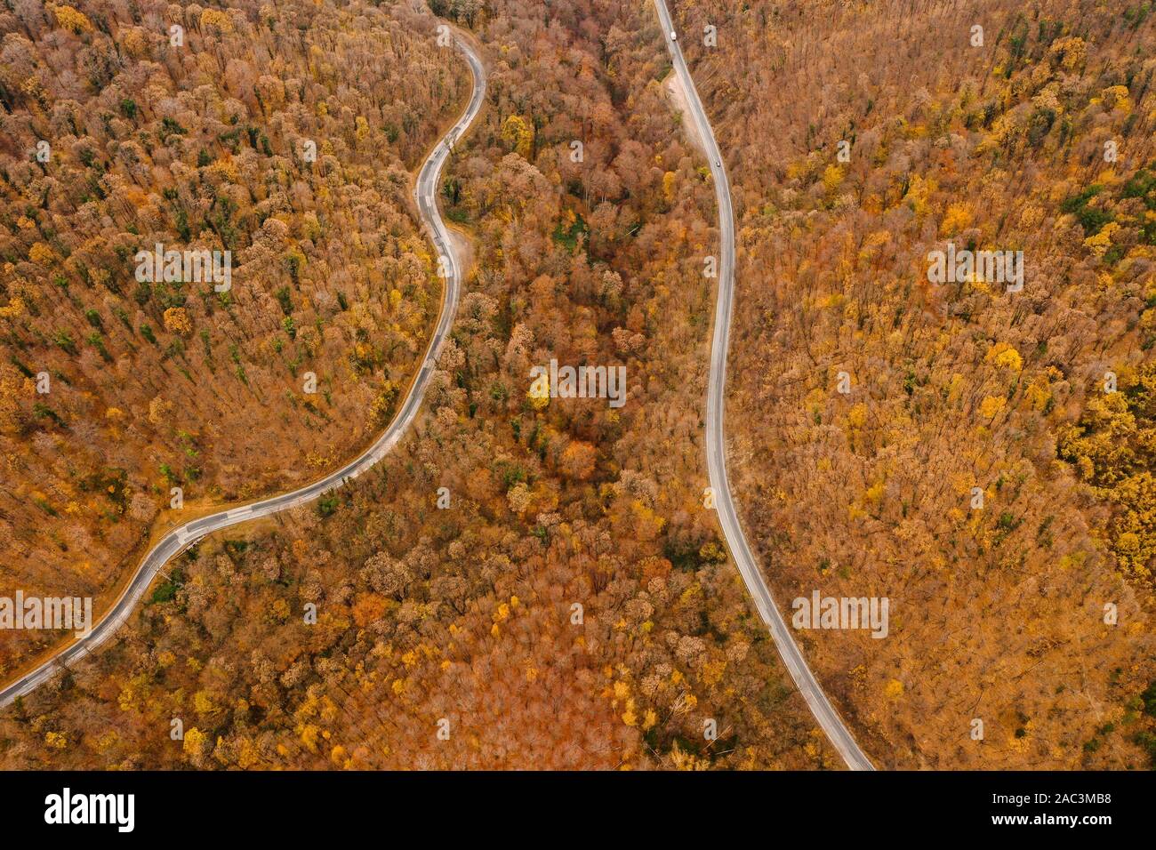 Flight above forest fall colors hi-res stock photography and images - Alamy