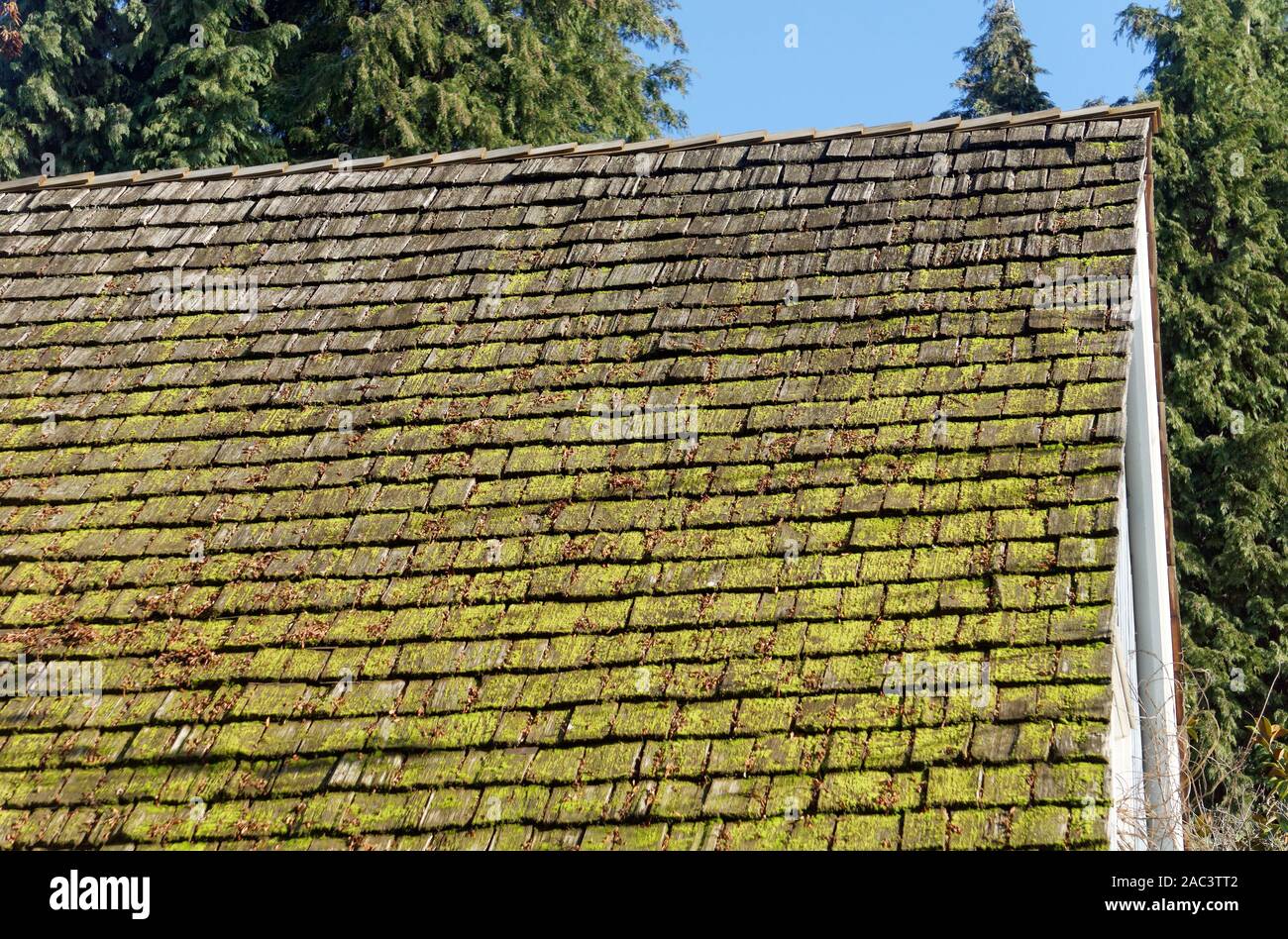 Cedar Shake High Resolution Stock Photography And Images Alamy